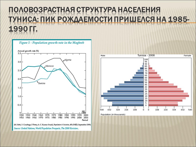 Половозрастная структура населения Туниса: пик рождаемости пришелся на 1985-1990 гг.